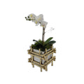 The Bamboo Planter