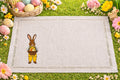 The Easter Bunny Placemat