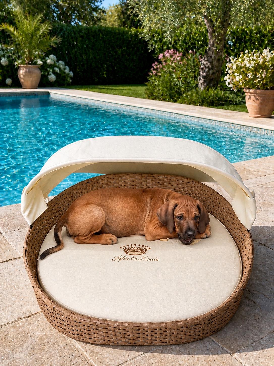 The Palm Beach Pet Bed