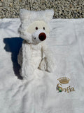 The Pet Blanket and Toy